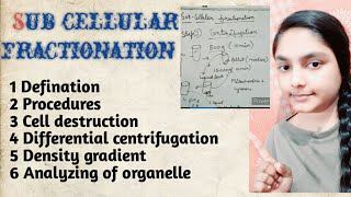 Sub cellular fractionation [upl. by Udela701]