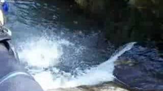 Canyoning in Austria [upl. by Sperling]