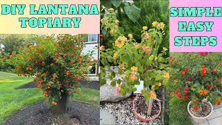 DIY Lantana Tree TopiariesFull Edition [upl. by Ehtyaf]