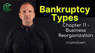 Bankruptcy Types Explained [upl. by Loss]