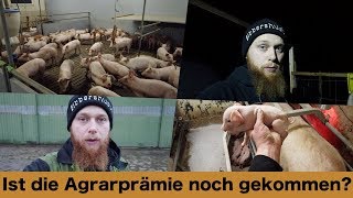 FarmVLOG181  Ist die Agrarprämie noch gekommen [upl. by Iris23]