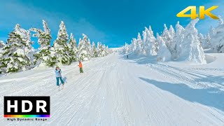 【4K HDR】Zao Snow Monsters  Yamagata Japan 2021 [upl. by Wiles382]