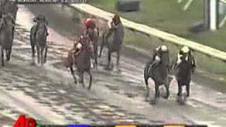 Raw Video Names Make for Hilarious Horse Race [upl. by Edecrem]