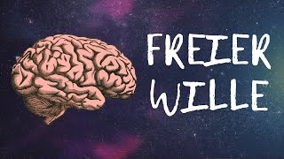 Die Illusion des freien Willens  Psychologie Neurowissenschaft amp Philosophie [upl. by Sokim445]