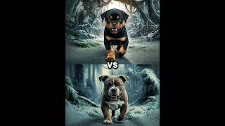 Rottweiler Puppy vs Pitbull puppy  German Shepherd Husky Doberman labrador retriever Pointer [upl. by Aidnac721]