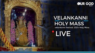 velankanni live mass today  velankanni Festival 2024  velankanni live [upl. by Yendor]