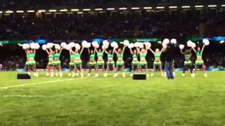 Cheerleaders dancing at the ercrugby Heinekencup Final be [upl. by Lougheed]