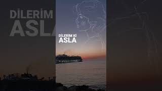 Dilerim ki dolu kadehi ters tut lyrics [upl. by Jerrilee597]