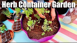 How to Plant an Herb Container Garden with EasytoGrow Herbs 🌱 [upl. by Ardnala50]