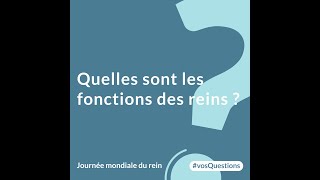 Quelles sont les fonctions des reins [upl. by Inod8]