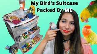 Tour ALL my Bird Supplies for my 11 Parrots  Products for Birds [upl. by Kcirdez]