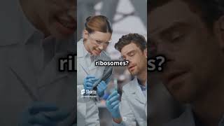 What Are Ribosomes Cells Protein Factories Explained biology facts cellbiology education [upl. by Mayor]