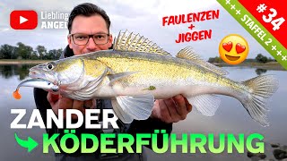 Köderführung zum Zanderangeln mit Gummifisch 🔥🎣👍🏼 [upl. by Eelrahc944]