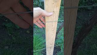 DIY Quick Wire Twisting Tool How to quickly and securely attach to a wooden post shorts diy tool [upl. by Nickelsen]