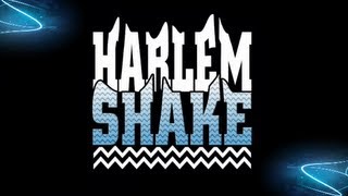 HARLEM SHAKE MADE IN FRANCE À TROYES [upl. by Reich]