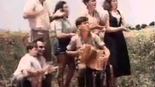 Hava Nagila  Famous Israeli jewish folk song  authentic dance [upl. by Maura]