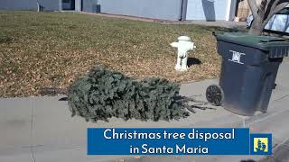 Santa Maria Christmas Tree Pickup [upl. by Gracia248]