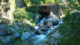 Wide Angle Shot of a Flowing River [upl. by Gehlbach]