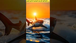 DO YOU THINK THIS ACTIVITIES 🤔 fact storytime factsinhindi ytshort shorts viralshorts [upl. by Nurav]