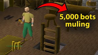 Jagex has Given F2P RuneScape to the Botters [upl. by Oaoj]