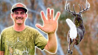 5 Deer Hunting Tips I Wish I Knew Sooner [upl. by Aridaj]