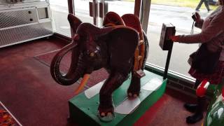 Very RARE 1950S ELEPHANT Coin operated kids ride  smiths arcade by TAJ The arcade junkie [upl. by Lancelle742]