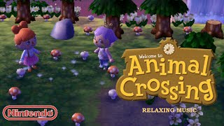 After a tough dayrelaxing video game music calms your mind mostly animal crossing music [upl. by Leeke]