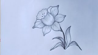 Daffodil Flower Drawing How To Draw A Daffodildrawingbook3988 [upl. by Esli]