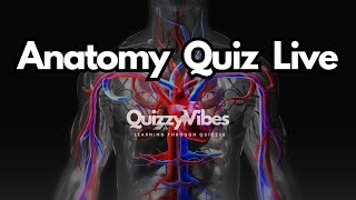 🧠 Anatomy Quiz Challenge LIVE Test Your Knowledge of the Human Body 💪 [upl. by Anoyet]