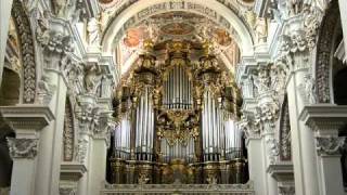 Toccata and Fugue in D Minor Best Version Ever [upl. by Healey]