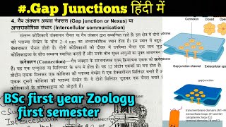 Gap junction in Hindi  Cellcell interaction  BSc first year zoology first Semester [upl. by Shirberg]