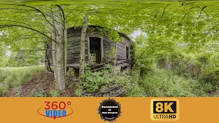 Abandoned House in Burnsville North Carolina 8K 360VR [upl. by Brocklin54]