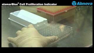 alamarBlue® Cell Proliferation Indicator [upl. by Swinton]