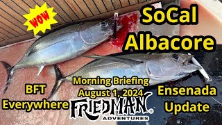 Albacore in SoCal Catalina Island bluefin tuna sand bass bonanza Channel Is white seabass amp BFT [upl. by Warfold]