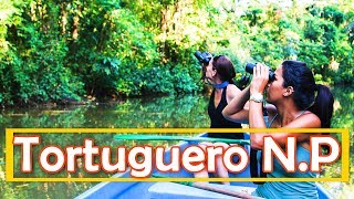 4K video of Tortuguero National Park – Costa Rica 12 [upl. by Issy433]