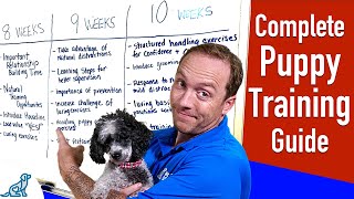 Your Complete Puppy Training Schedule By Age [upl. by Ardrey]