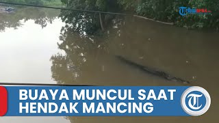 Penampakan Buaya yang Muncul di Bawah Jembatan Sungai Cidanau Cinangka saat Warga Hendak Memancing [upl. by Vlad986]