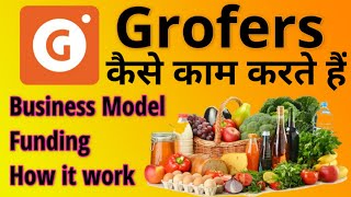 Grofers Business Model  How Grofers Earn Money  Grofers Case Study  Freegyantv [upl. by Tertia814]