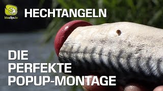 Hechtangeln über Grund mit Köderfisch an der PopupMontage [upl. by Tandie]