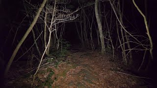 4K・Walking at night in Aokigahara forest no pranks not scary ASMR [upl. by Naman22]