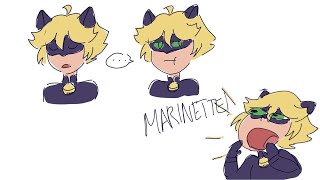 Yes I Think Catwalker Is Félix  Miraculous Ladybug Comic Dub [upl. by Noevad]