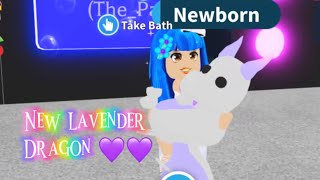 New rare Lavender Dragon in Adopt me Roblox [upl. by Pride]