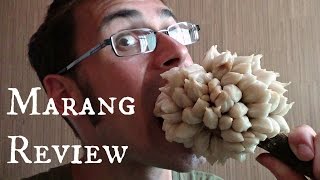 Marang Fruit Review  Weird Fruit Explorer in the Philippines  Ep 85 [upl. by Ellehcirt]