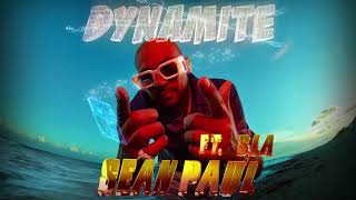 Sean Paul  Dynamite ft Sia Official Instrumental [upl. by Nnayelsel]