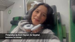 FİNLANDİYADA EVCİL HAYVAN İLE SEYAHAT  TREN YOLCULUĞU [upl. by Rhine]