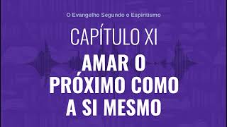 CAPÍTULO XI  AMAR O PRÓXIMO COMO A SI MESMO  Audiobook de quotO Evangelho Segundo o Espiritismoquot [upl. by Aihseyt324]