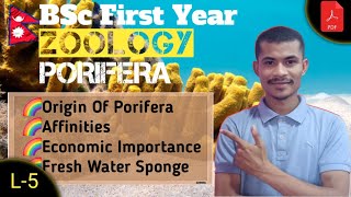 L5 Origin Affinities Economic importance amp Fresh Water Sponge●PORIFERA●BSc First Year●TU●NEPAL🇳🇵 [upl. by Braden]