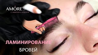 Ламинирование бровей Новый тренд в бьюти индустрии [upl. by Kartis15]