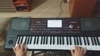 Korg Pa700  Tozovac Prazna čaša na mom stolu Ti si me čeksla [upl. by Selle]