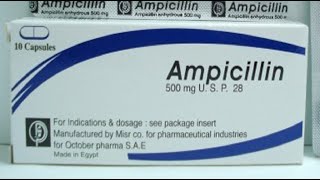 What is Amoxicillin [upl. by Atoel]